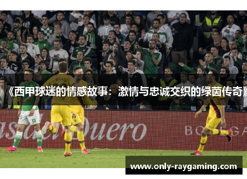 《西甲球迷的情感故事：激情与忠诚交织的绿茵传奇》