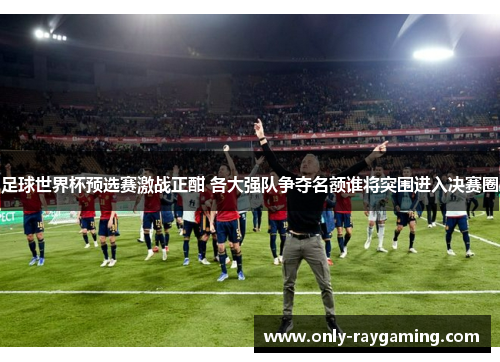 足球世界杯预选赛激战正酣 各大强队争夺名额谁将突围进入决赛圈