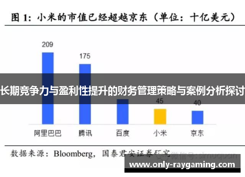 长期竞争力与盈利性提升的财务管理策略与案例分析探讨